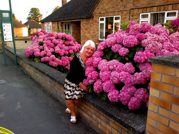 Елена Иванусенко