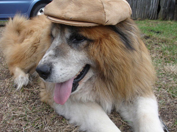 Игорь Занин