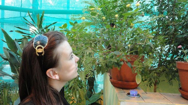 Любовь Келина