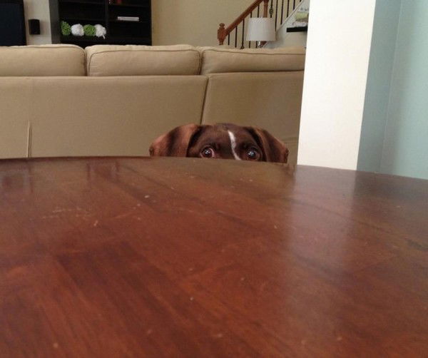 Света Ненашева