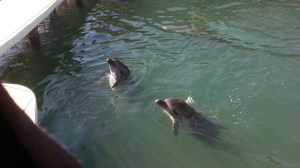 Aлександр Kислый