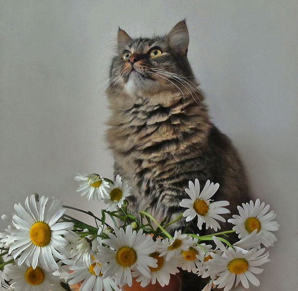 Дмитрий Туров