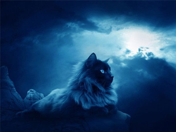 В И К Т О Р И Я