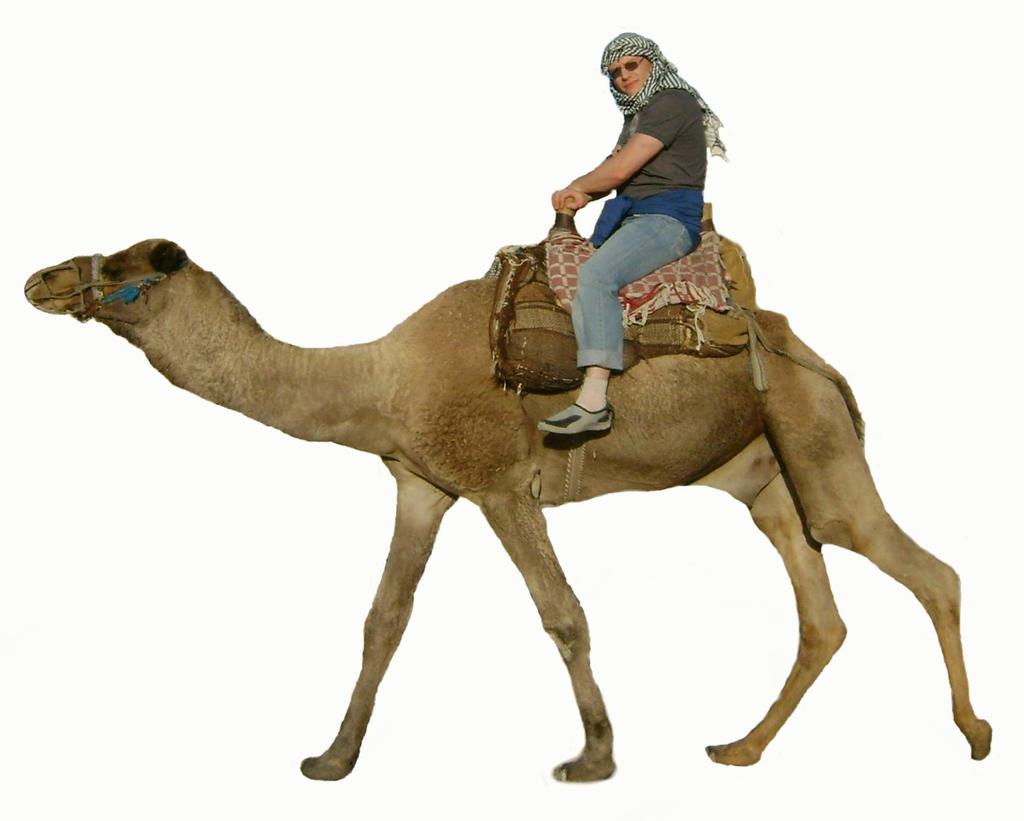 Дмитрий Стаин