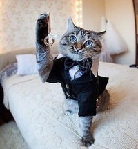 Мирослав Ярков