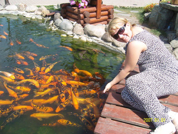 Мария Буйвидович