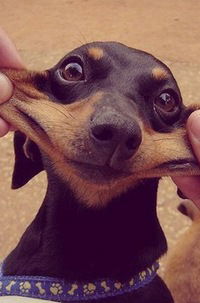 Юля Шишкина