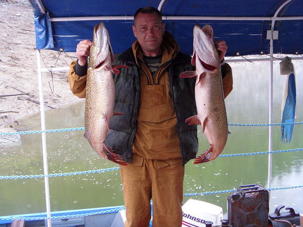 Игорь Самойлович