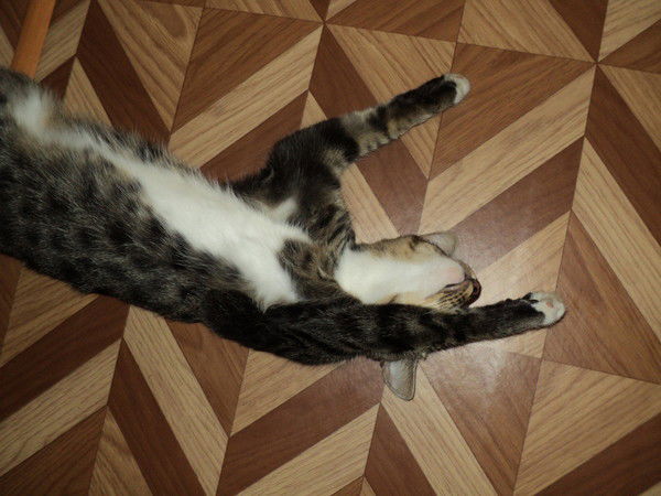 Алексей Филяев