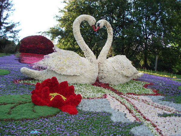 Елена Тимошенко