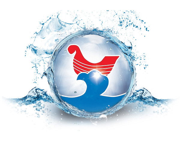 Ооо Городецкая