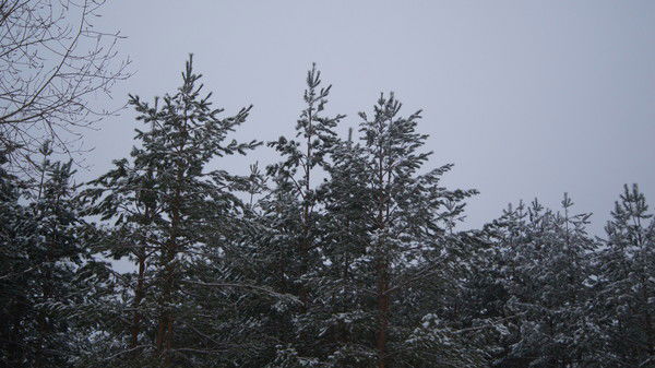 Надия Ханбикова