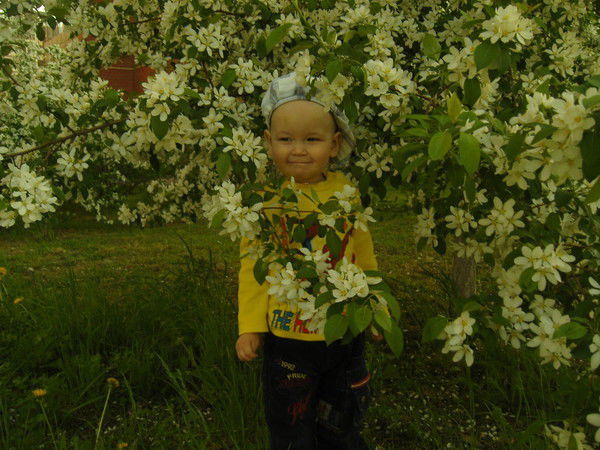 Николай Коротченко