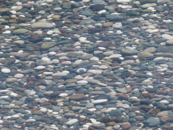 Клавдия Петрова