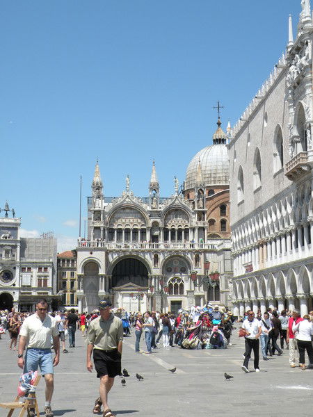 Светлана Серебренникова