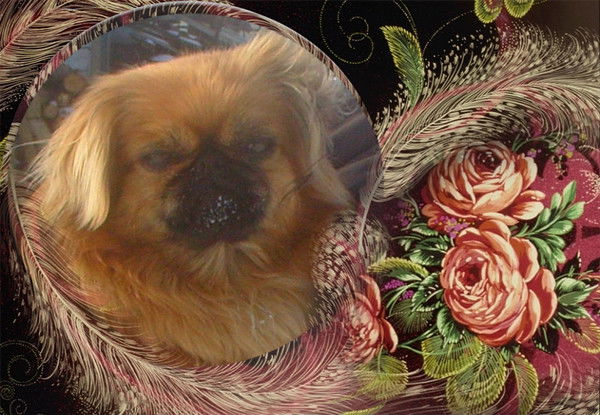 Ирина Чебан