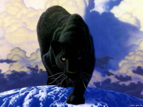 Юлия Федоренко