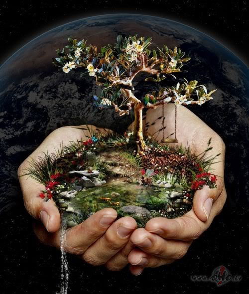 Екатерина Светлая