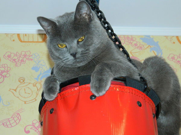 Антонина Большакова