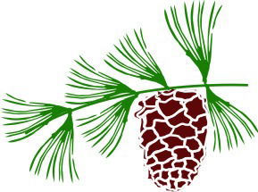 Андрей Столяров