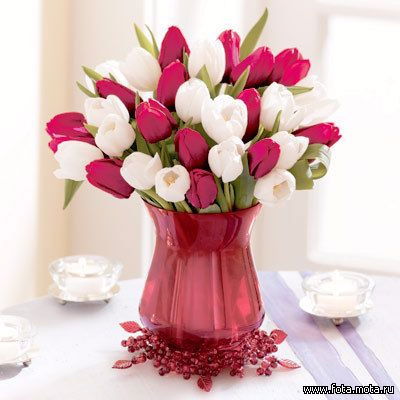 Yangiyo`l Servis Markazi