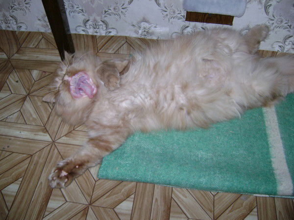 Андрей Батанов