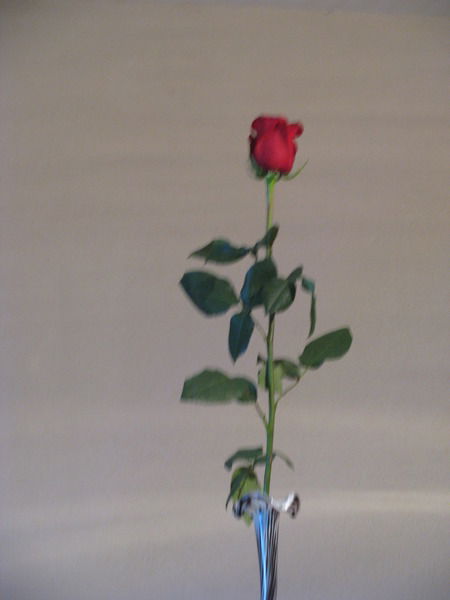 Ольга Кириллова