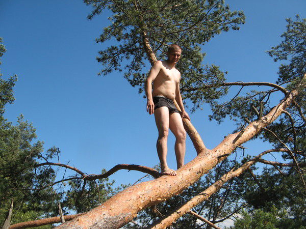 Николай Денис