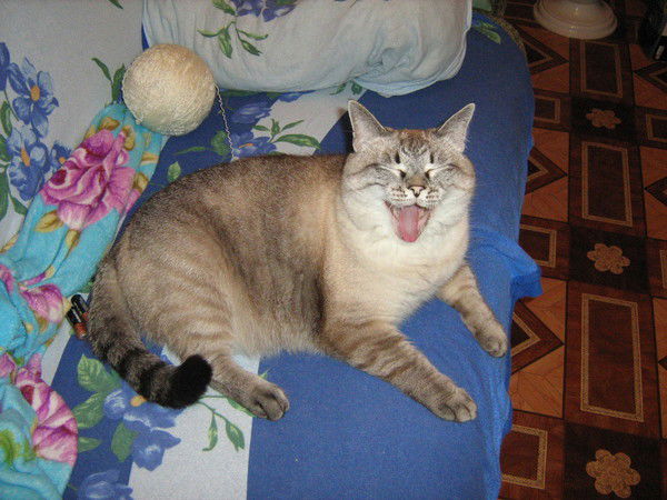 Татьяна Масалева