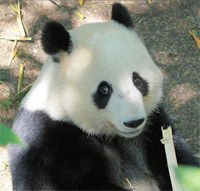 Наталия Скороделова