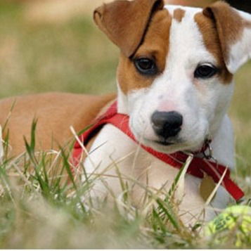 Юля Иванова-Назаренко