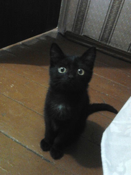 Наталья Потехина