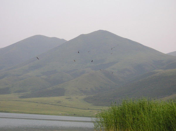 Фархат Салимов