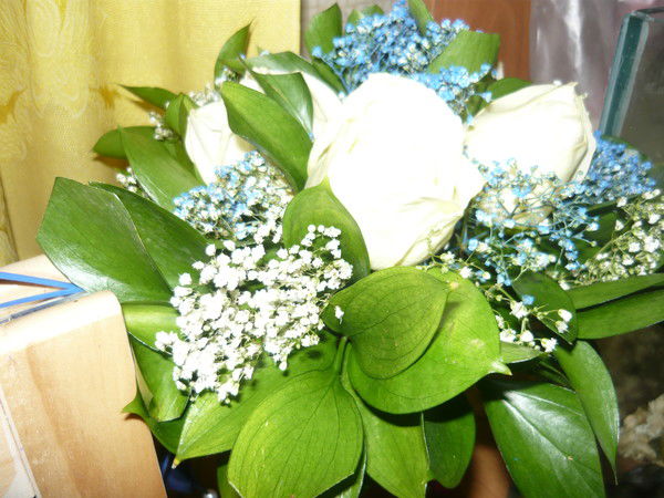 Люся Украинцева