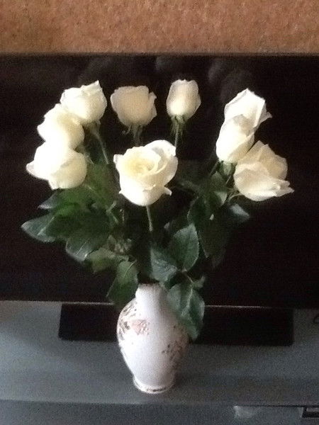 Елена Скоморохина