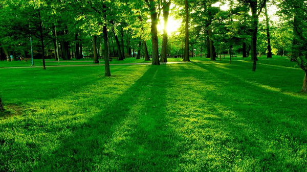 Татьяна Самойленко