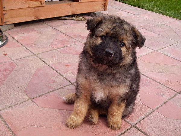 Настя Грицкова