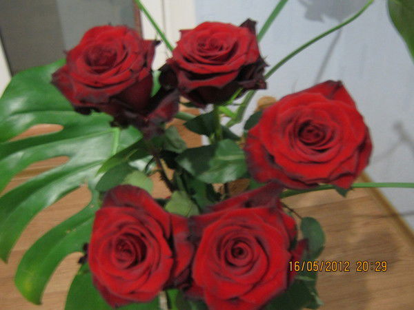 Наталья Гончарова