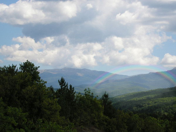 Оксана Симахина