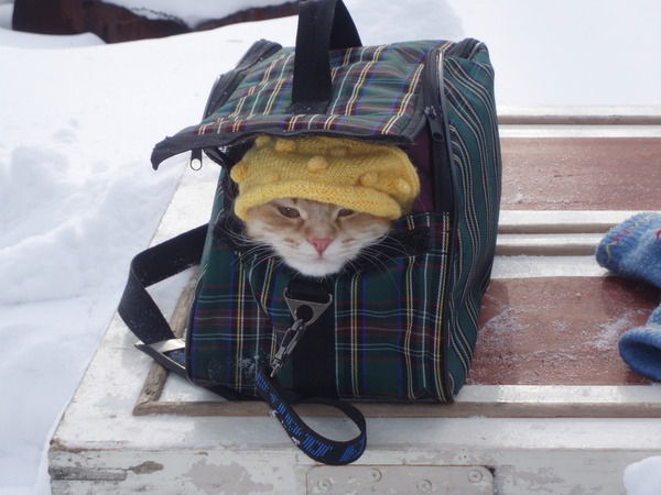 Евгений Гончаров