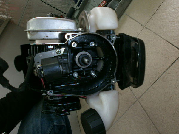 Евгений Кольцов