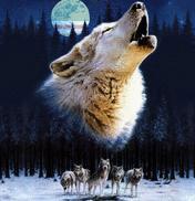 Фаридун Юнусов