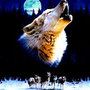 Фаридун Юнусов