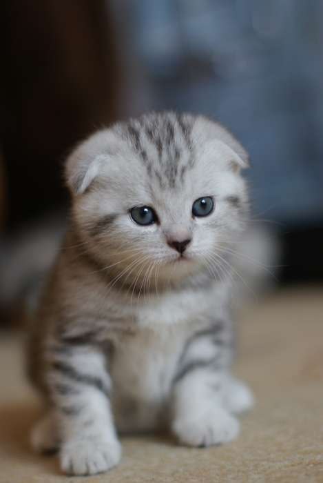 Яяяяяяяяяя