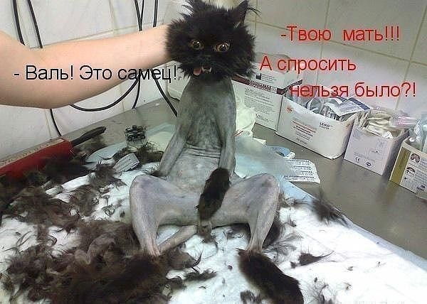 Александр Загайнов