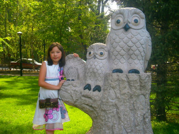 Дикоша Совет