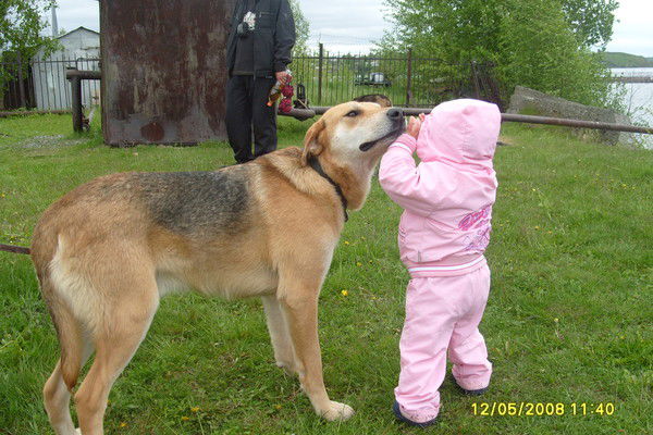 Валерий Рыбаков