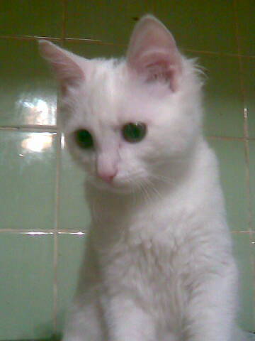 Дарья Зубарева