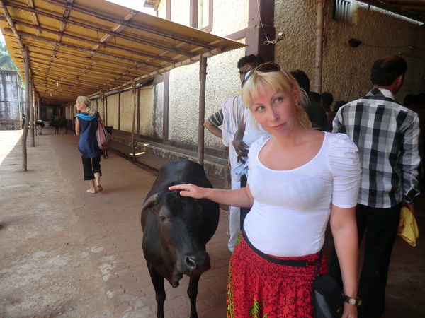 Елена Жукова