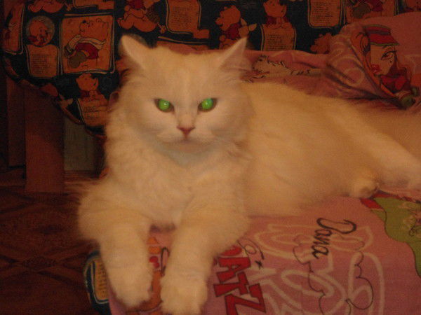 Павел Мовчан